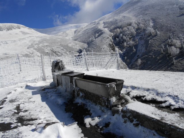 dscn8086.jpg