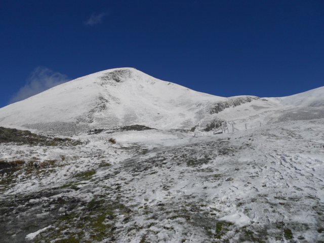 dscn8095.jpg