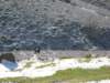 dscn8109_small.jpg