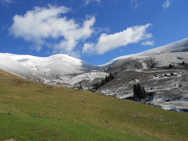 dscn8118.jpg