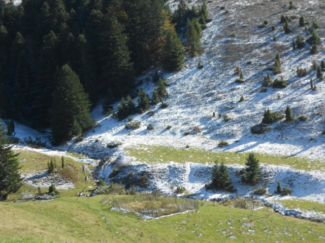 dscn8124.jpg