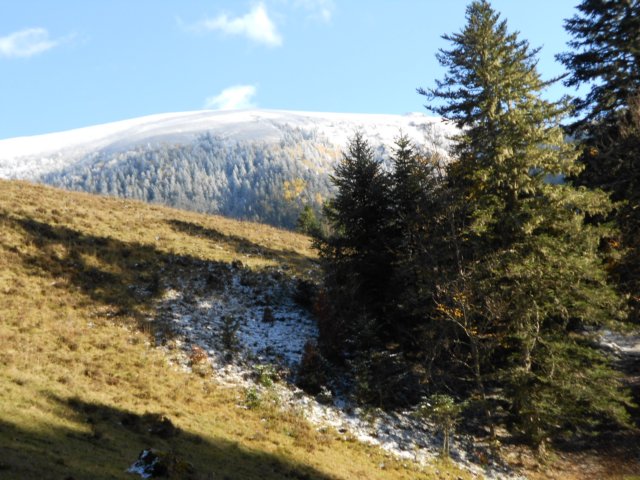 dscn8128.jpg