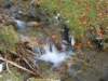 dscn8130_small.jpg