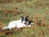 dscn8133_small.jpg