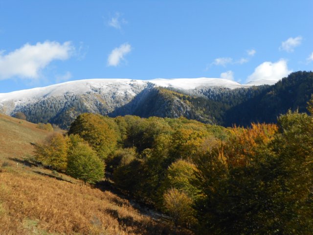 dscn8134.jpg