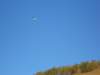 dscn8152_small.jpg