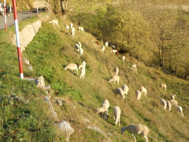 dscn8156.jpg