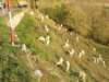 dscn8156_small.jpg