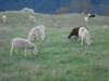 dscn8157_small.jpg