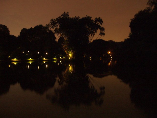 p7190170.jpg