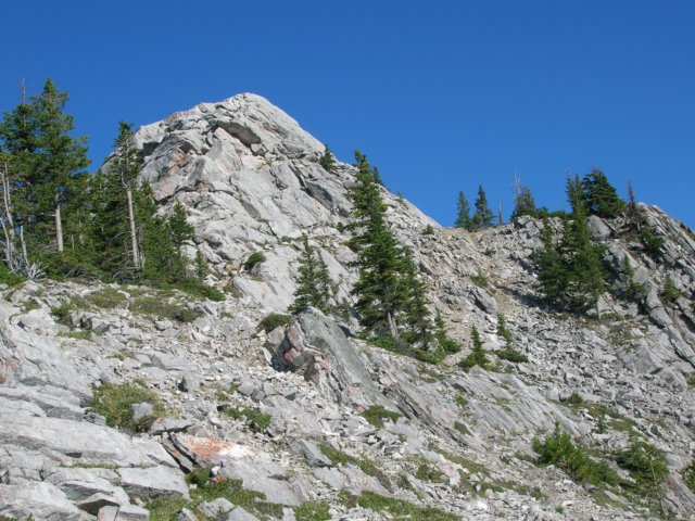 dscn2962.jpg