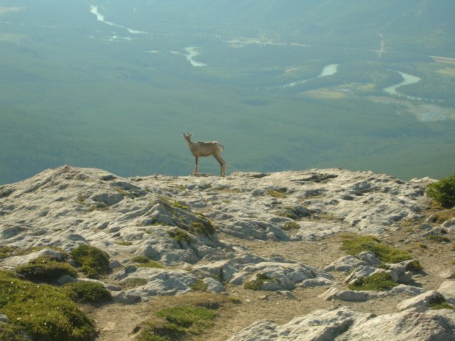 dscn2981.jpg