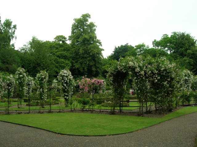 dscn7864.jpg