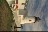 19_thumb